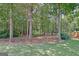 View of the wooded backyard with mature trees and greenery providing a peaceful and private outdoor setting at 155 Westminister Village Blvd, Sharpsburg, GA 30277