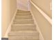 Carpeted staircase with white risers and handrail, leading to the upper level at 155 Westminister Village Blvd, Sharpsburg, GA 30277