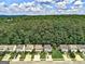 Street view of a well-maintained neighborhood with lush trees and neatly manicured lawns at 134 Watercress Ct, Stockbridge, GA 30281