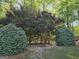 Backyard view showcases manicured shrubs, trees, mulch, and a stone pathway at 320 Cloverwood Drive, Fayetteville, GA 30215
