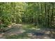 Shady and secluded wooded area on the property, perfect for enjoying nature at 315 Antioch Road, Mcdonough, GA 30252