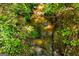 Scenic creek surrounded by lush greenery, highlighting the natural beauty of the property at 301 East Highway 5, Roopville, GA 30170
