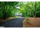 Long, black paved driveway through lush green trees at 301 East Highway 5, Roopville, GA 30170