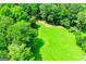 Lush green property featuring a grassy field surrounded by a dense tree line at 301 East Highway 5, Roopville, GA 30170