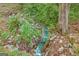 Clear, shallow creek with rocks and lush vegetation at 2164 Old Rex Morrow Rd, Morrow, GA 30260