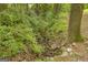 A small creek flows through rocks and lush greenery at 2164 Old Rex Morrow Rd, Morrow, GA 30260