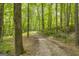 Driveway curving through a lush forest at 2164 Old Rex Morrow Rd, Morrow, GA 30260