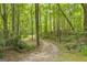 Winding gravel driveway cutting through a serene wooded landscape at 2164 Old Rex Morrow Rd, Morrow, GA 30260