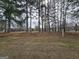 An expansive front yard adorned with towering trees, offering a serene and natural setting at 164 Turner Creek Dr, Hampton, GA 30228