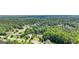 An aerial view of the community with mature trees and beautiful landscaping at 320 Silverbell Ln, Sharpsburg, GA 30277