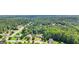 Aerial view of the community with beautiful mature trees and green landscape at 320 Silverbell Ln, Sharpsburg, GA 30277