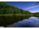 Scenic view of a serene lake surrounded by lush greenery, reflecting a tranquil sky at 123 Eva Ln, Stockbridge, GA 30281