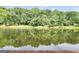 Scenic view of a pond reflecting trees on the water's surface at 123 Eva Ln, Stockbridge, GA 30281