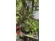 Backyard showcasing various plants and greenery at 8436 Magnolia Dr, Jonesboro, GA 30238
