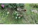 Beautiful garden showcasing colorful flowers and lush greenery at 8436 Magnolia Dr, Jonesboro, GA 30238