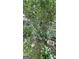 Lush garden filled with vibrant flowers, plants, and decorative containers at 8436 Magnolia Dr, Jonesboro, GA 30238