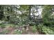 Serene backyard with mature trees, plants, and partial fencing at 8436 Magnolia Dr, Jonesboro, GA 30238