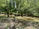 A natural creek meandering through a wooded area, providing a serene and picturesque natural landscape feature at 2481 Weatherstone Cir, Conyers, GA 30094