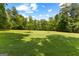 Expansive, well-maintained yard with lush green grass and mature trees under a bright sky at 152 Bear Creek Rd, Moreland, GA 30259