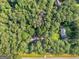 Aerial view of the property surrounded by lush trees at 1000 Coan Dr, Locust Grove, GA 30248