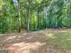 Backyard with trampoline and dog house at 1000 Coan Dr, Locust Grove, GA 30248