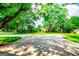 Long concrete driveway leading to the property with lush green lawns and mature trees at 508 College St, Bowdon, GA 30108