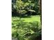 Green backyard with manicured lawn and mature trees at 276 Colewood Nw Way, Atlanta, GA 30328