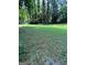 Large, grassy backyard with mature trees creating a peaceful setting at 276 Colewood Nw Way, Atlanta, GA 30328