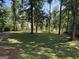 View of the lush backyard, showcasing a large yard with mature trees and ample space at 1535 Smoke Hill Dr, Hoschton, GA 30548