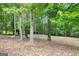 Picture of a wooded backyard with mature trees and a natural, leafy ground cover at 183 Wynnmeade, Peachtree City, GA 30269