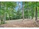 A wooded backyard with scattered mature trees offering privacy and natural beauty at 183 Wynnmeade, Peachtree City, GA 30269