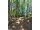 Expansive backyard with mature trees, providing a serene and private outdoor space at 10178 Top Tree Ct, Jonesboro, GA 30238