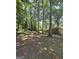Spacious backyard with mature trees, offering a peaceful, private setting at 10178 Top Tree Ct, Jonesboro, GA 30238