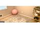 Basement workout area with pink exercise ball, rug, and storage shelves at 10178 Top Tree Ct, Jonesboro, GA 30238
