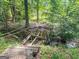 Picturesque backyard creek and forest, a serene natural setting at 207 Conkle Rd, Hampton, GA 30228
