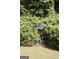 Garden area featuring decorative blue wind spinner surrounded by vibrant foliage, adding a touch of whimsy and charm to the outdoor space at 150 Ashley Dr, Fayetteville, GA 30214