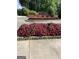 Stone trimmed flower beds with red and pink flowers lining cobblestone road at 150 Ashley Dr, Fayetteville, GA 30214