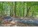 Scenic driveway winding through a lush, wooded area, offering privacy at 2400 White Pine Ln, Mansfield, GA 30055