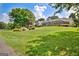 Expansive backyard with lush green lawn, mature trees, and a screened-in porch, perfect for outdoor living at 316 Kensington Dr, Peachtree City, GA 30269