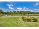 Landscaped backyard overlooking a scenic pond surrounded by trees and greenery, offering a serene retreat at 316 Kensington Dr, Peachtree City, GA 30269