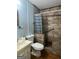 Bathroom featuring a tiled shower with curtain and a sink with a toilet at 1041 Sandy Ridge Rd, Mcdonough, GA 30252