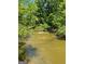 Scenic river view surrounded by lush greenery, perfect for nature lovers at 292 Selfridge Rd, Mcdonough, GA 30252