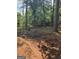 Natural lot ready to build upon at 8778 Homewood Ct, Riverdale, GA 30274