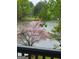 Scenic lake view with a dock and surrounding trees at 45 Surrey Chase Dr, Social Circle, GA 30025