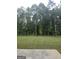Expansive backyard offering a lush green space, perfect for recreation and relaxation at 160 Grafton St, Hampton, GA 30228
