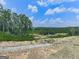 Scenic view of the backyard with expansive views, lush trees, and a clear blue sky with clouds at 520 Pemberton St, Euharlee, GA 30145