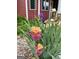 Landscaped front yard with decorative flowers and red house in the background at 4335 Hurt Bridge Lane, Cumming, GA 30028