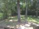 Picturesque backyard featuring mature trees, lush greenery, and a glimpse of a dog exploring at 439 River Rd, Jonesboro, GA 30236