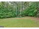 View of backyard bordered by mature trees at 145 Driftwood Trl, Fayetteville, GA 30215