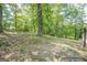 Leafy backyard with mature trees and an incline, partially enclosed by a chainlink fence at 3833 Bakers Ferry Sw Rd, Atlanta, GA 30331